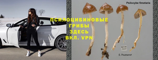 бошки Богородск