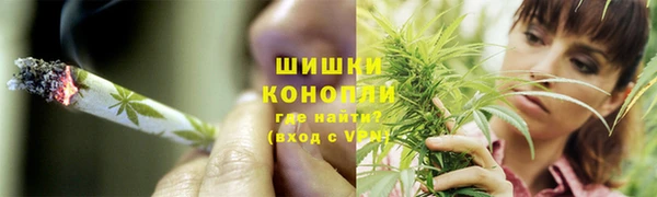 прущие грибы Балахна