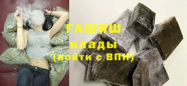 прущие грибы Балахна